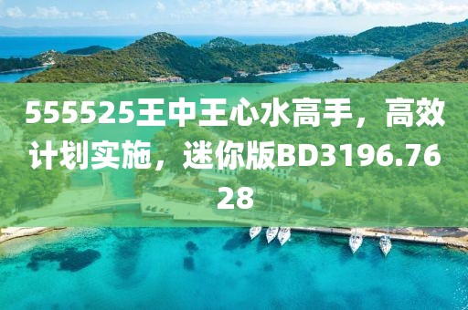 555525王中王心水高手，高效计划实施，迷你版BD3196.7628