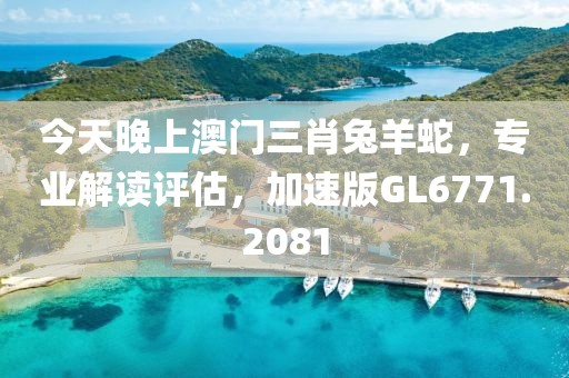 今天晚上澳门三肖兔羊蛇，专业解读评估，加速版GL6771.2081