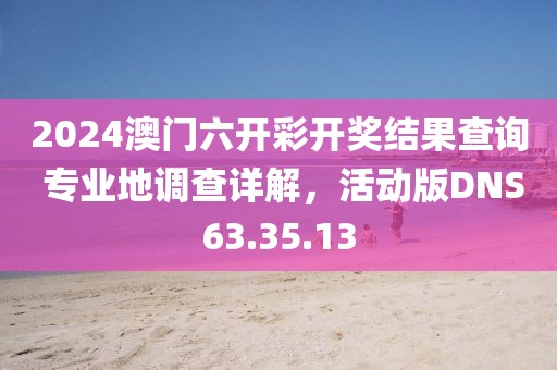 2024澳门六开彩开奖结果查询 专业地调查详解，活动版DNS63.35.13