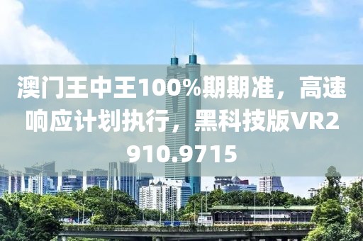 澳门王中王100%期期准，高速响应计划执行，黑科技版VR2910.9715