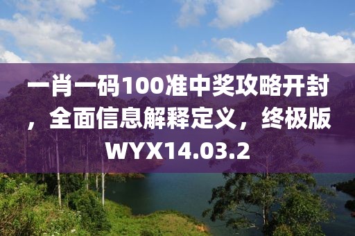 一肖一码100准中奖攻略开封，全面信息解释定义，终极版WYX14.03.2