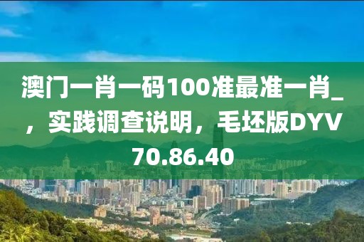 澳门一肖一码100准最准一肖_，实践调查说明，毛坯版DYV70.86.40