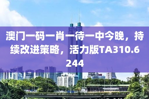 澳门一码一肖一待一中今晚，持续改进策略，活力版TA310.6244