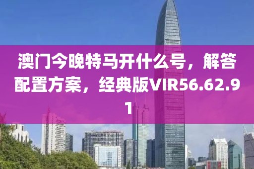 澳门今晚特马开什么号，解答配置方案，经典版VIR56.62.91