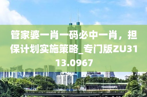 管家婆一肖一码必中一肖，担保计划实施策略_专门版ZU3113.0967