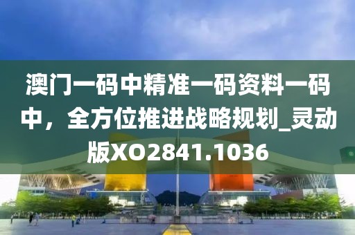 澳门一码中精准一码资料一码中，全方位推进战略规划_灵动版XO2841.1036