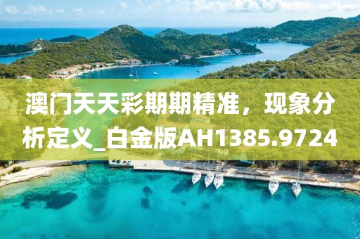 澳门天天彩期期精准，现象分析定义_白金版AH1385.9724