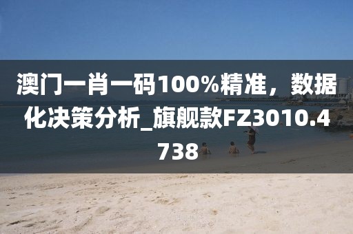 澳门一肖一码100%精准，数据化决策分析_旗舰款FZ3010.4738