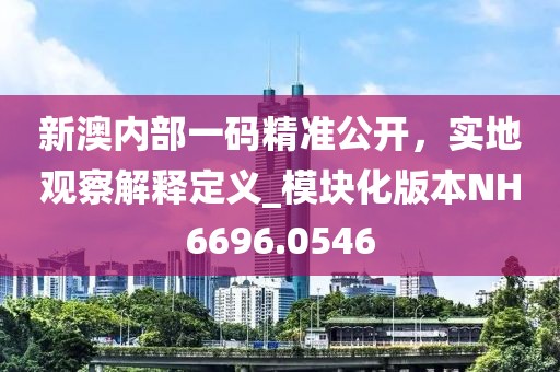 新澳内部一码精准公开，实地观察解释定义_模块化版本NH6696.0546