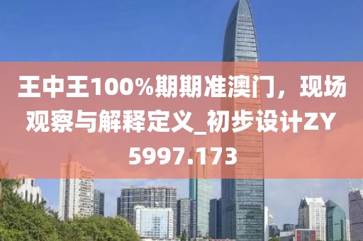 王中王100%期期准澳门，现场观察与解释定义_初步设计ZY5997.173