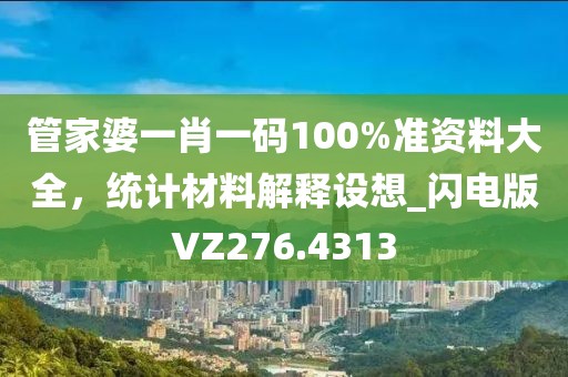 管家婆一肖一码100%准资料大全，统计材料解释设想_闪电版VZ276.4313