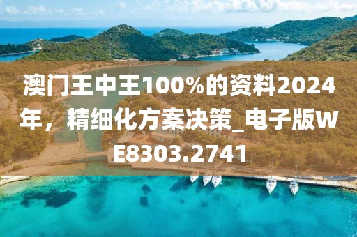 澳门王中王100%的资料2024年，精细化方案决策_电子版WE8303.2741