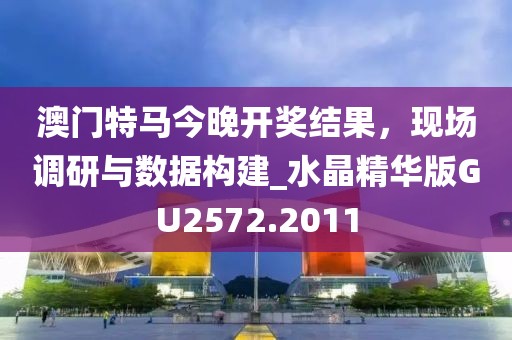 2024年11月27日 第11页