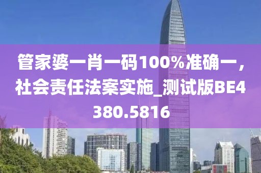 管家婆一肖一码100%准确一，社会责任法案实施_测试版BE4380.5816