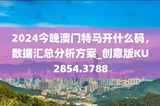 2024今晚澳门特马开什么码，数据汇总分析方案_创意版KU2854.3788