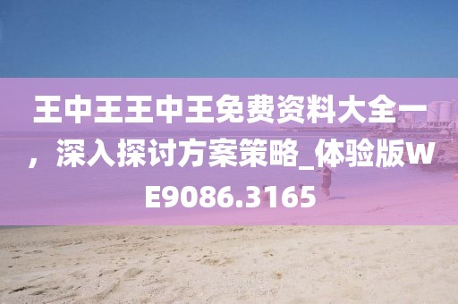 王中王王中王免费资料大全一，深入探讨方案策略_体验版WE9086.3165