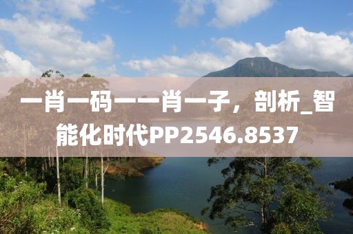 一肖一码一一肖一子，剖析_智能化时代PP2546.8537