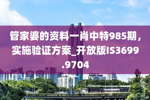 管家婆的资料一肖中特985期，实施验证方案_开放版IS3699.9704