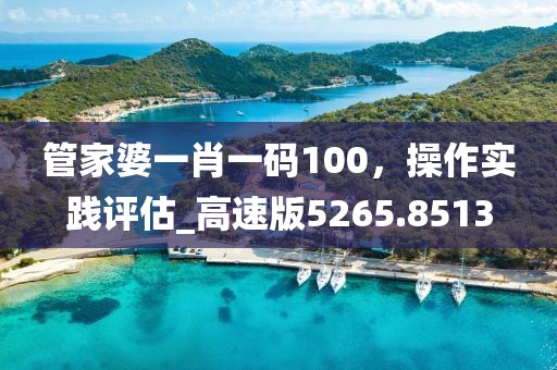 管家婆一肖一码100，操作实践评估_高速版5265.8513