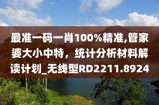 最准一码一肖100%精准,管家婆大小中特，统计分析材料解读计划_无线型RD2211.8924