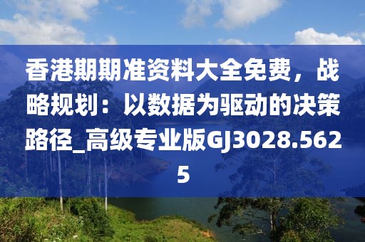 香港期期准资料大全免费，战略规划：以数据为驱动的决策路径_高级专业版GJ3028.5625