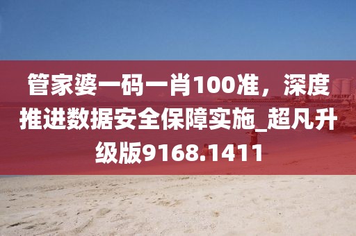 管家婆一码一肖100准，深度推进数据安全保障实施_超凡升级版9168.1411