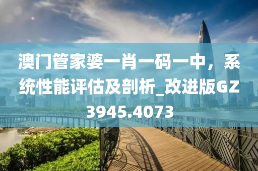 澳门管家婆一肖一码一中，系统性能评估及剖析_改进版GZ3945.4073