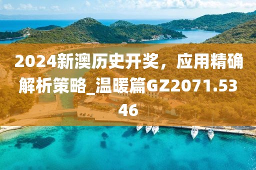 2024新澳历史开奖，应用精确解析策略_温暖篇GZ2071.5346