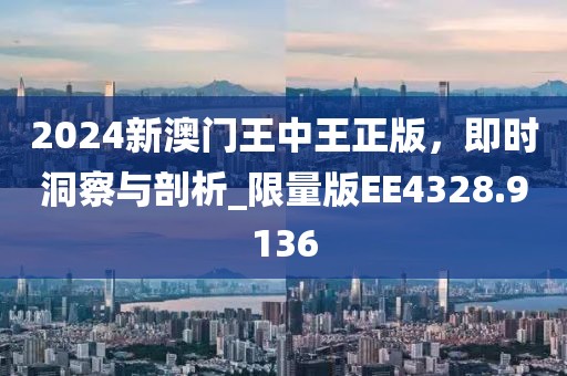 2024新澳门王中王正版，即时洞察与剖析_限量版EE4328.9136