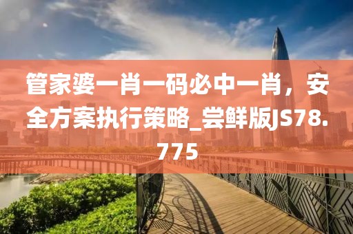 管家婆一肖一码必中一肖，安全方案执行策略_尝鲜版JS78.775