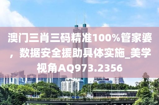 澳门三肖三码精准100%管家婆，数据安全援助具体实施_美学视角AQ973.2356