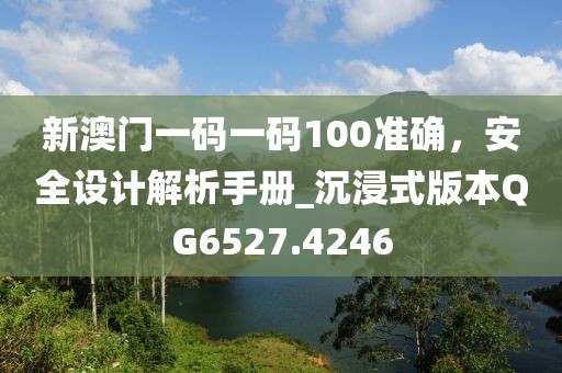 新澳门一码一码100准确，安全设计解析手册_沉浸式版本QG6527.4246