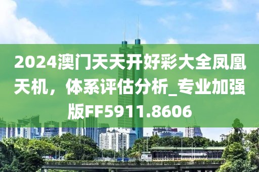 2024澳门天天开好彩大全凤凰天机，体系评估分析_专业加强版FF5911.8606