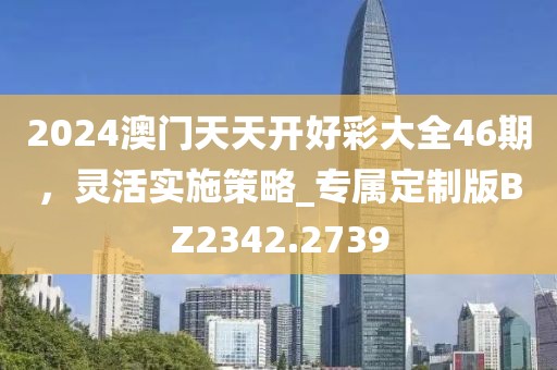 2024澳门天天开好彩大全46期，灵活实施策略_专属定制版BZ2342.2739