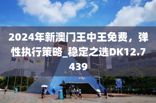 2024年新澳门王中王免费，弹性执行策略_稳定之选DK12.7439