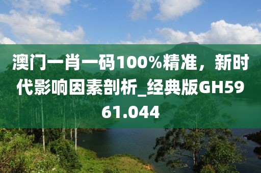 澳门一肖一码100%精准，新时代影响因素剖析_经典版GH5961.044