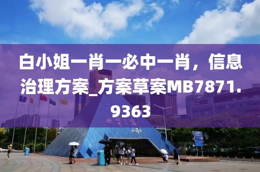 白小姐一肖一必中一肖，信息治理方案_方案草案MB7871.9363