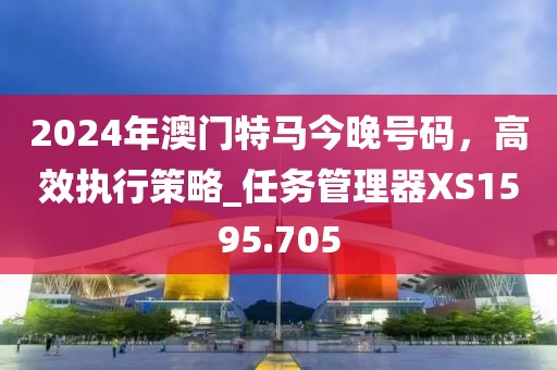 2024年澳门特马今晚号码，高效执行策略_任务管理器XS1595.705