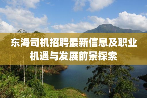 东海司机招聘最新信息及职业机遇与发展前景探索