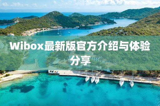 Wibox最新版官方介绍与体验分享