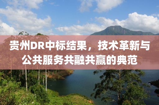 贵州DR中标结果，技术革新与公共服务共融共赢的典范