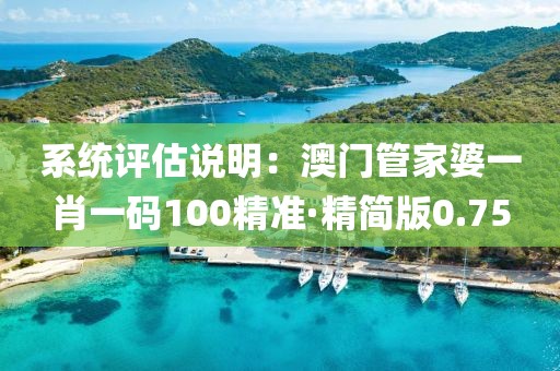 系统评估说明：澳门管家婆一肖一码100精准·精简版0.75