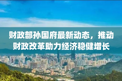 财政部孙国府最新动态，推动财政改革助力经济稳健增长