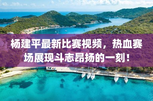 杨建平最新比赛视频，热血赛场展现斗志昂扬的一刻！