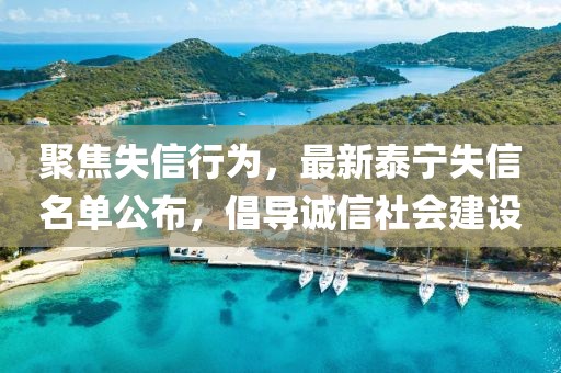 聚焦失信行为，最新泰宁失信名单公布，倡导诚信社会建设