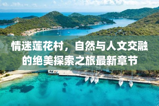 情迷莲花村，自然与人文交融的绝美探索之旅最新章节