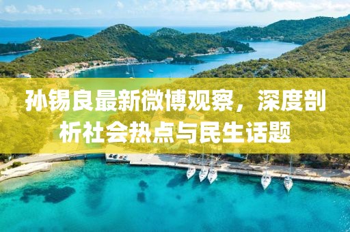 孙锡良最新微博观察，深度剖析社会热点与民生话题