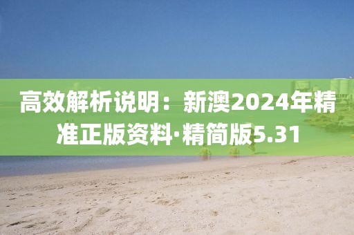 高效解析说明：新澳2024年精准正版资料·精简版5.31