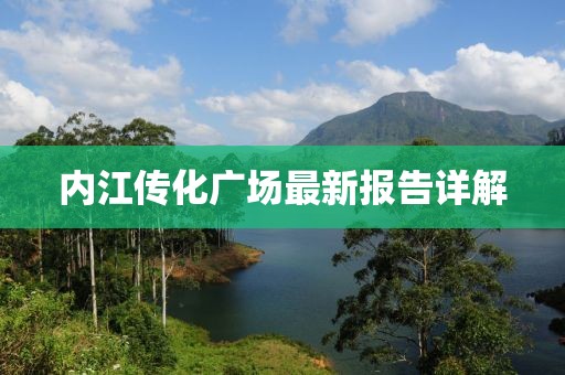 内江传化广场最新报告详解