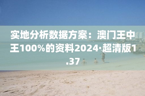 实地分析数据方案：澳门王中王100%的资料2024·超清版1.37